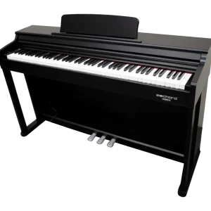 Popolare Echord DPX100