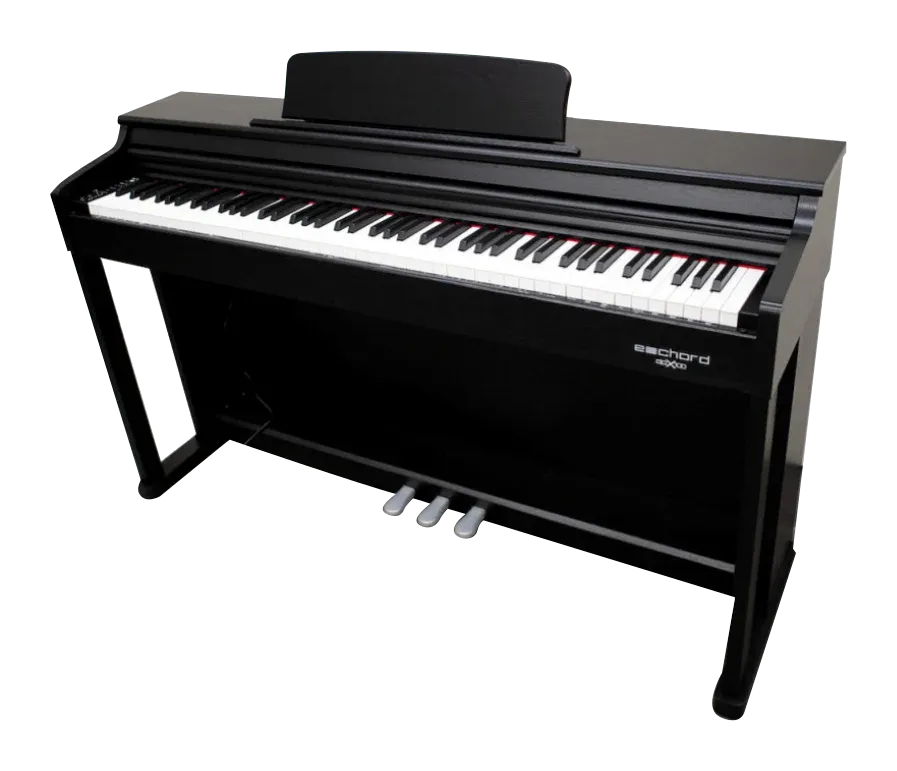 Popolare Echord DPX100
