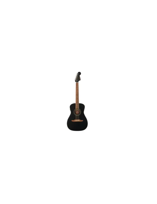 Spedizione Espresso Fender Joe Strummer Campfire