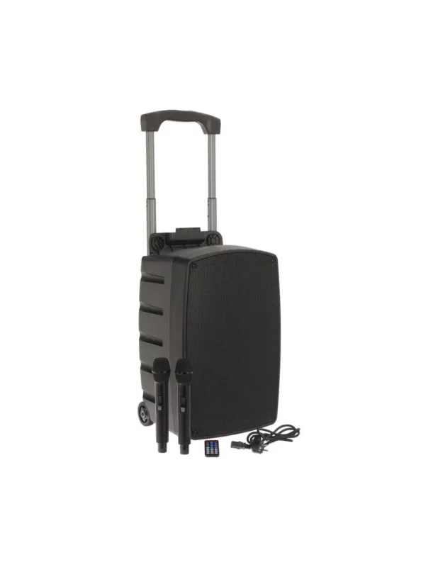 Offerta Lampo Algam Audio TR12-BT Altoparlante Portatile a Batteria con 2 Microfoni Wireless e Bluetooth